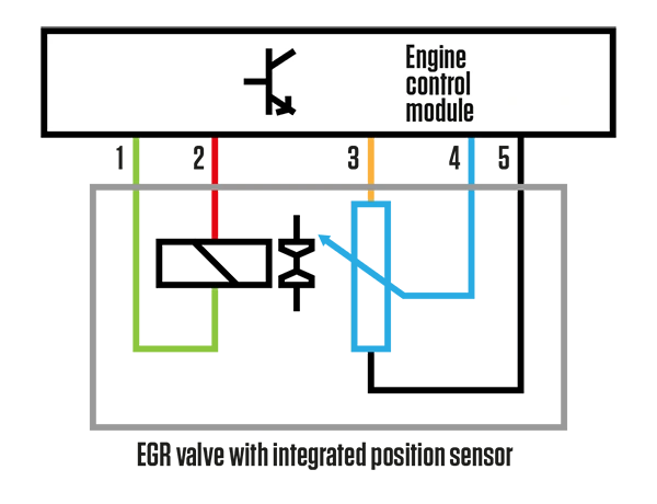 EGR Valve Diagram